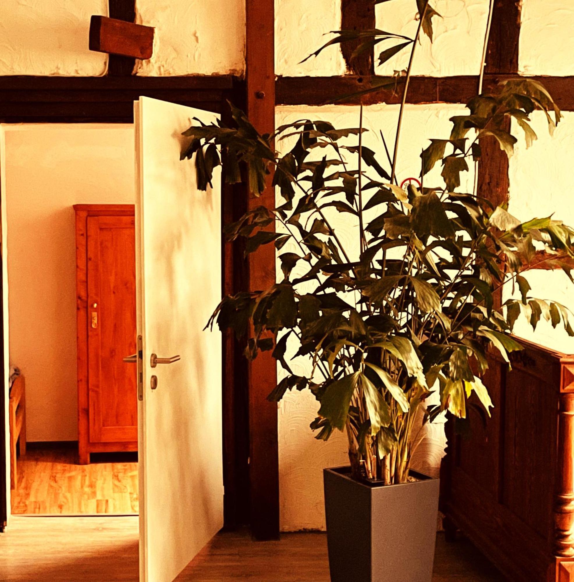 Cottage Huehnerstall Zulpich Luaran gambar